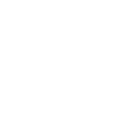 Newish Logo